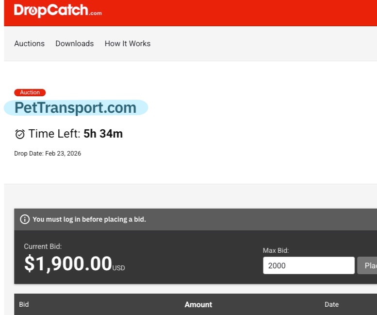 Peter Askew tweet media