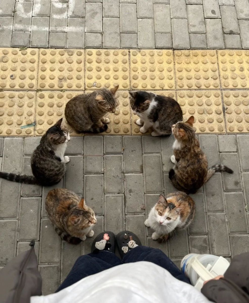 ؘ (@fleurgraph) on Twitter photo 