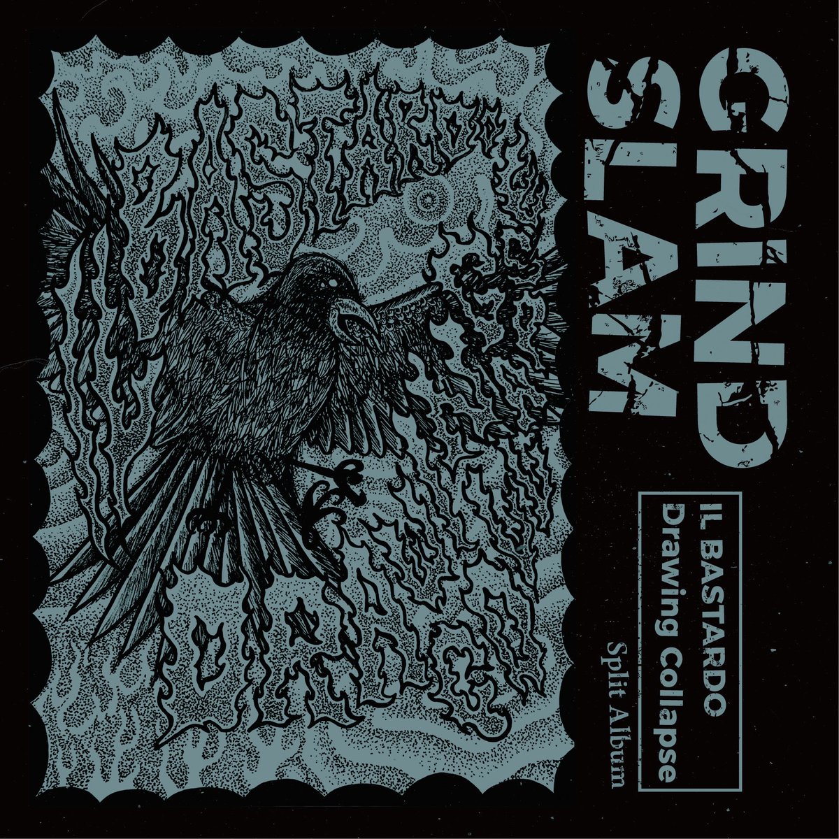 narrow yard tweet media