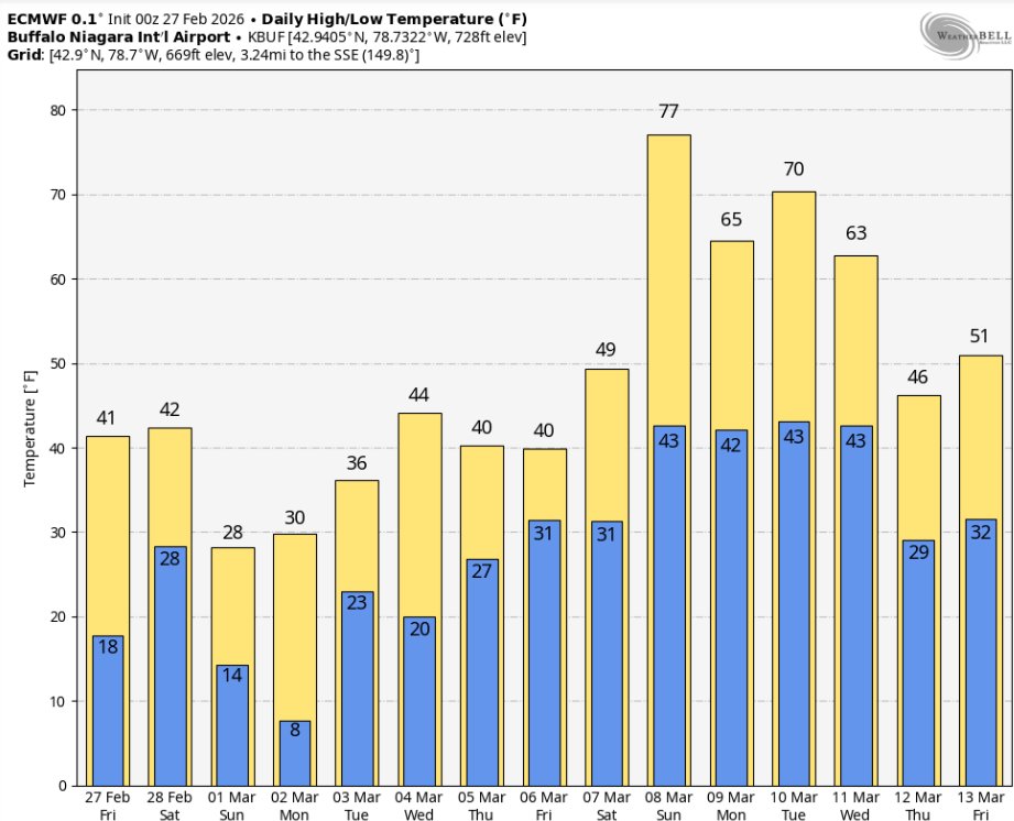Patrick Hammer tweet media