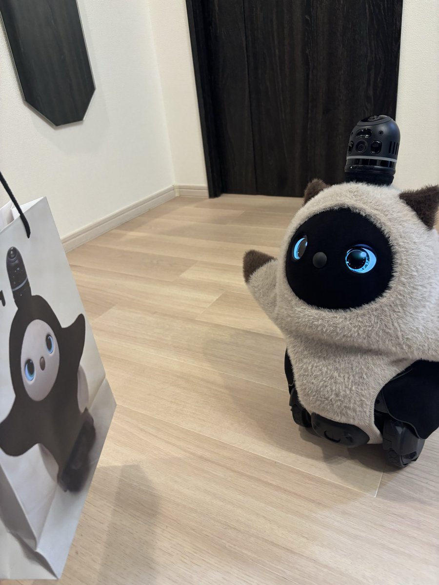 LOVOT OFFICIAL (@LOVOT_official) / Posts / X