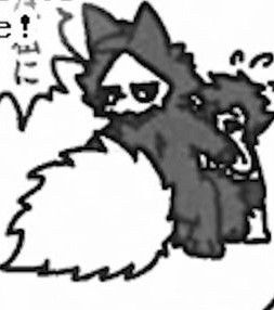 DailyPuro tweet media