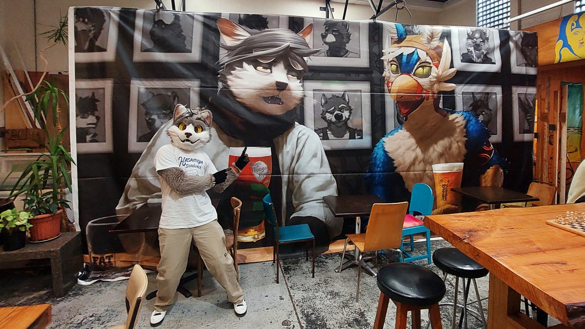 stucat.bsky😹 tweet media