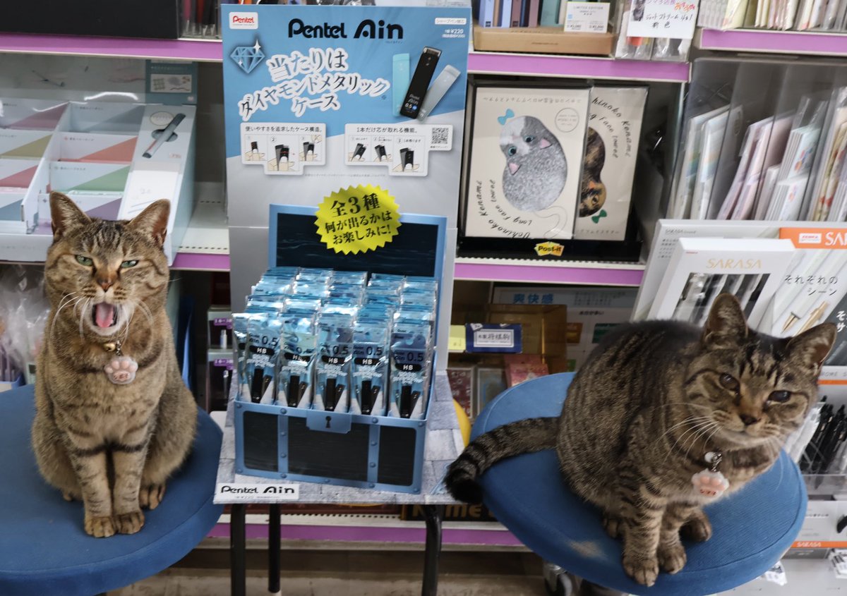 シマシポの商品紹介 Pentel Ain 限定シークレット ダイヤモンド
