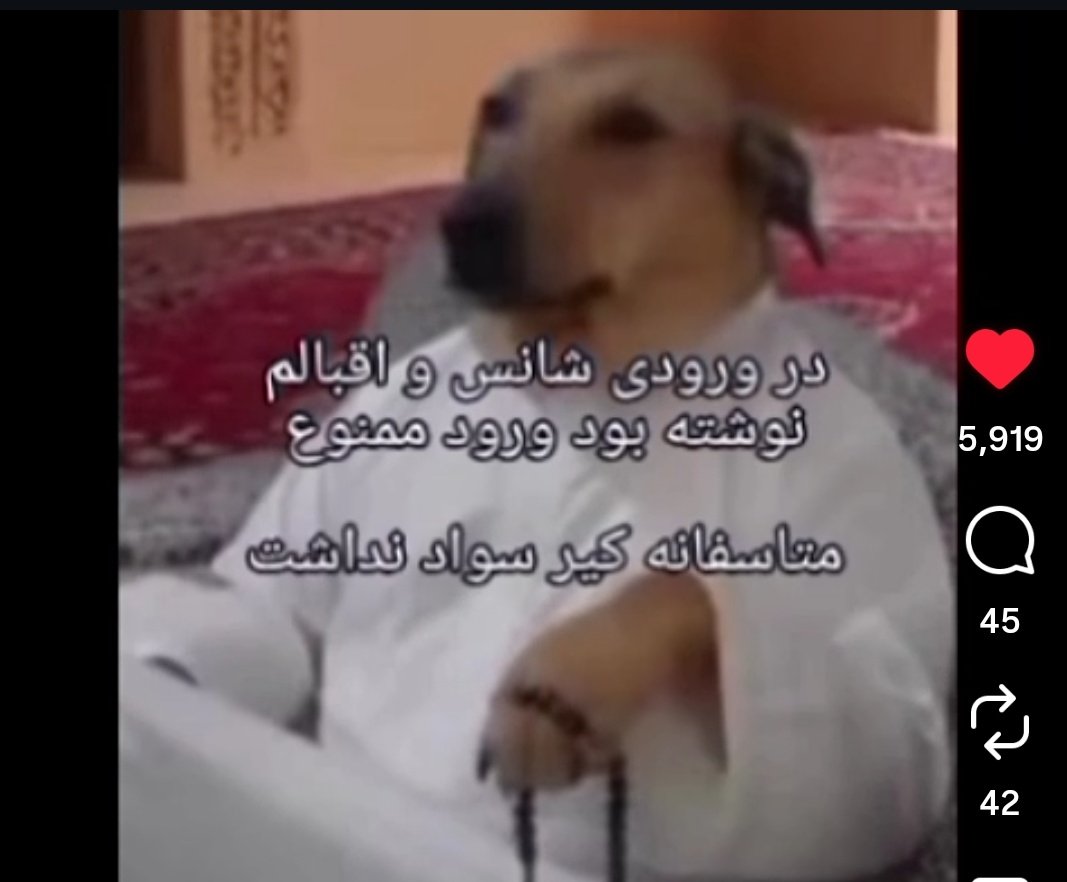 سا🇮🇷 tweet media