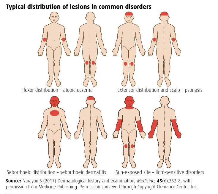Clinical Pocket Reference tweet media