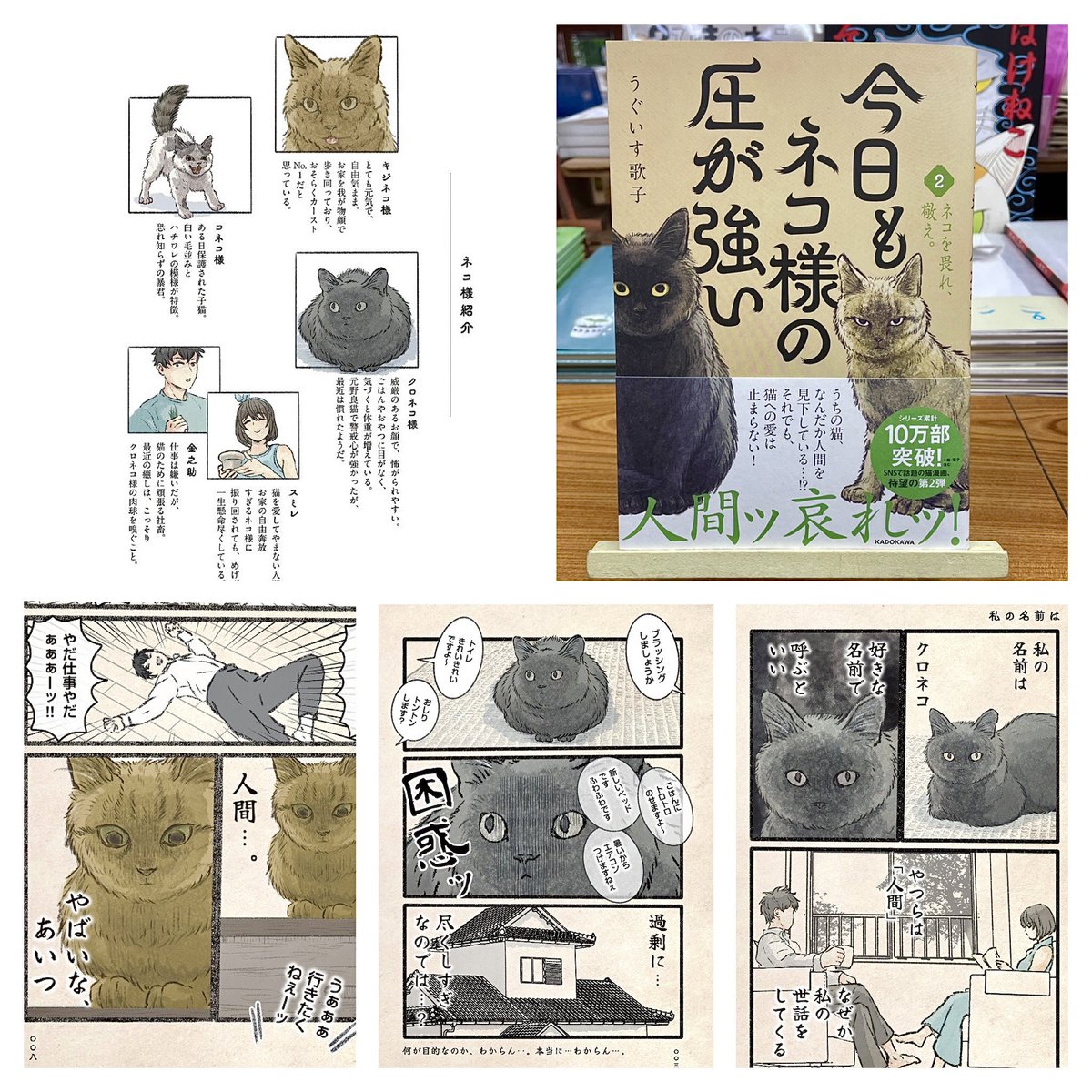 ねこねこ様　専門ページ 大人気のキジネコ様・クロネコ様に加え、新たにコネコ様が登場！ “猫