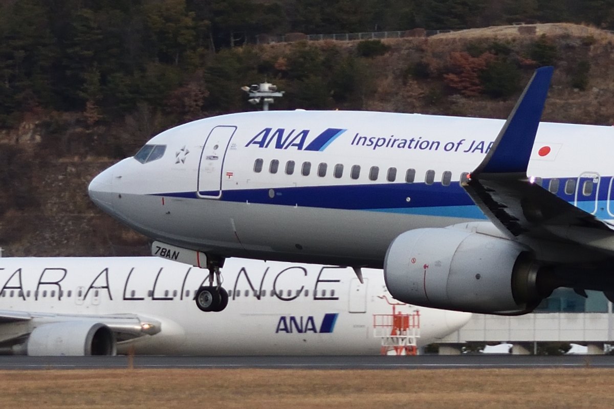 #飛行機の頭だけで100イイネ目指す