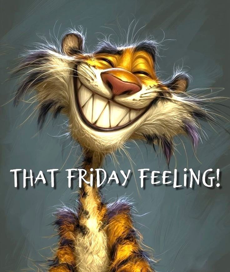 𝕲𝖆𝖊𝖙𝖆𝖓𝖔 tweet media