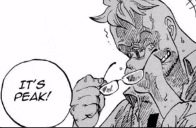 SevenSundew2847 tweet media