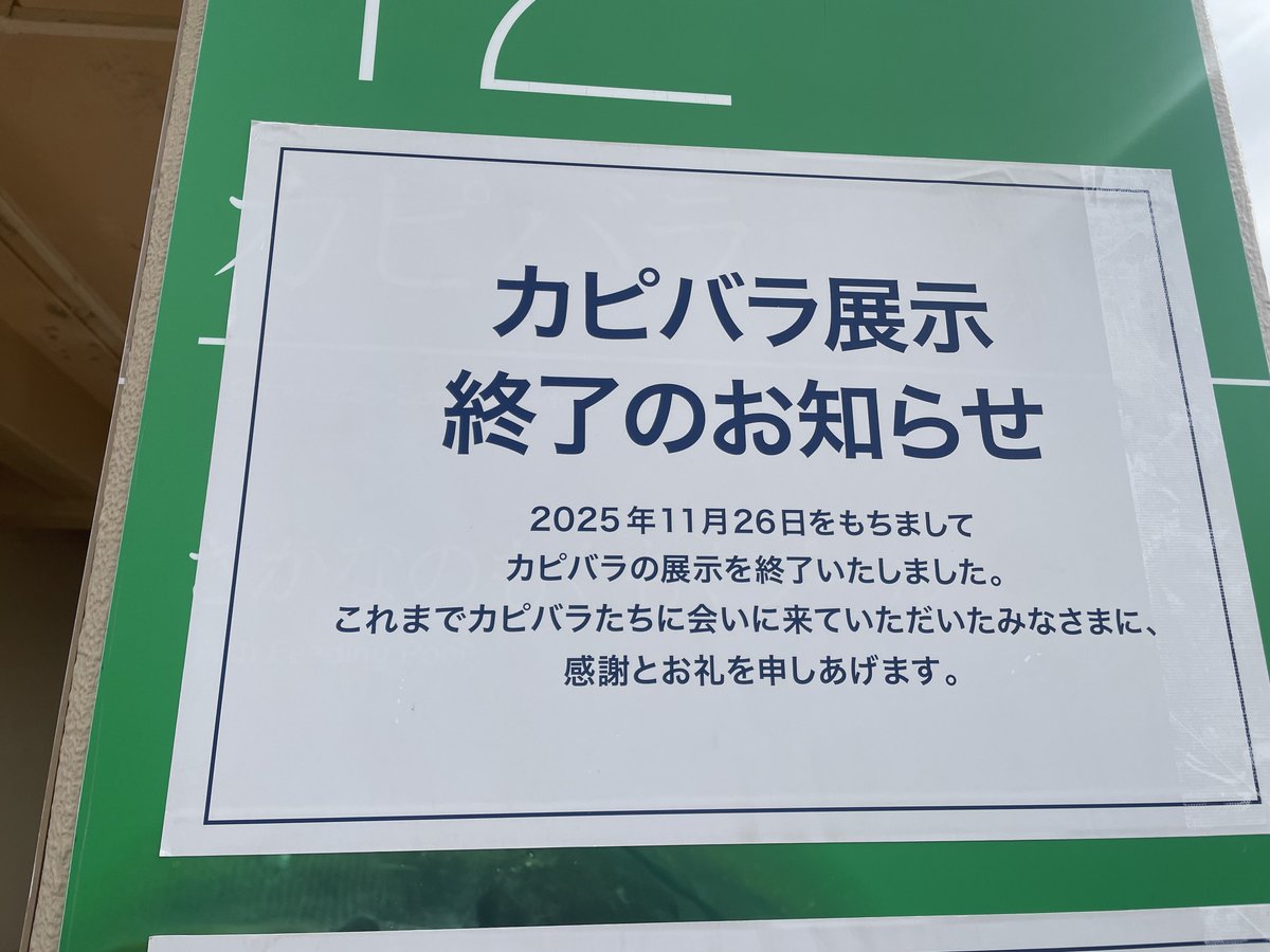 EF9kc's tweet photo. 久しぶりにえのすい来たらこれで😭 https://t.co/QvUgNTPHpM