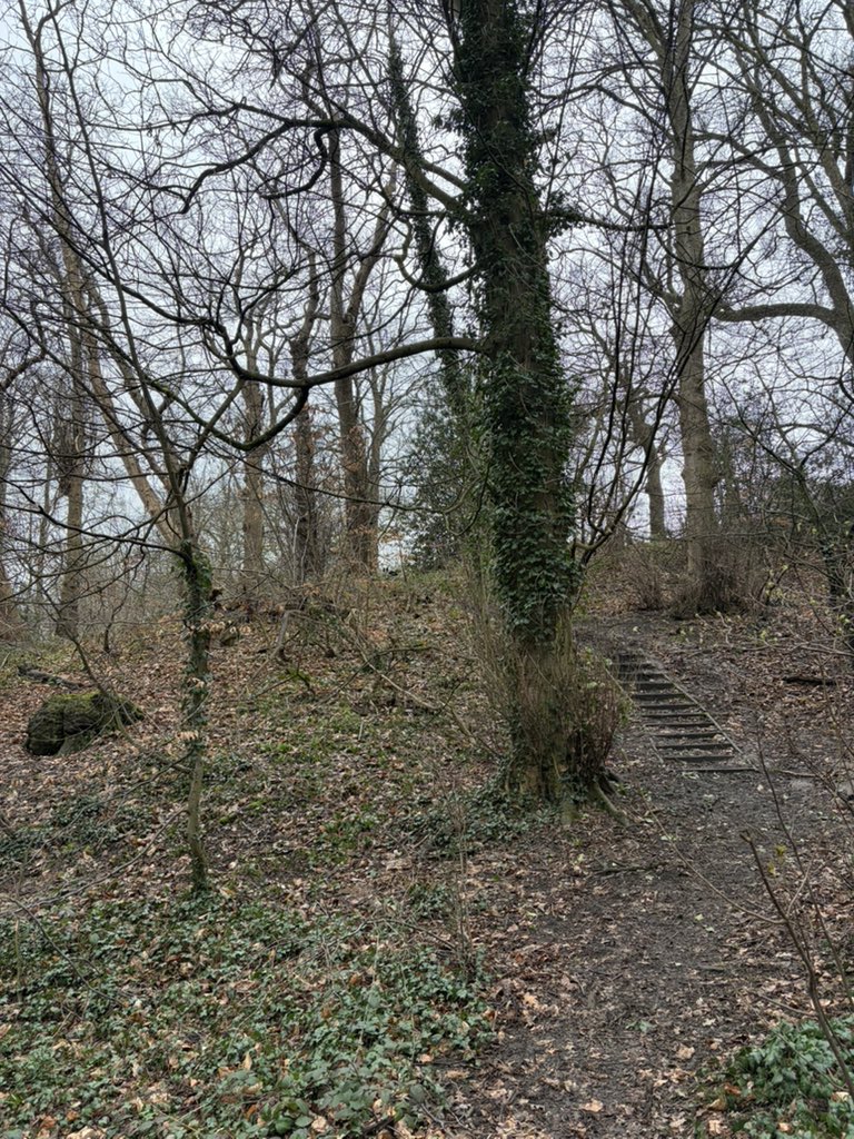 Puppy Bess and Auntie Kes tweet media