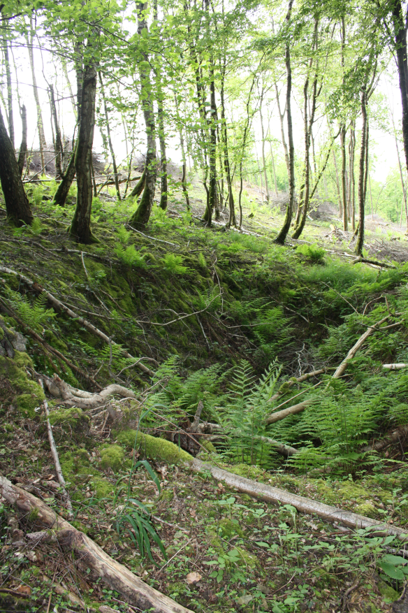 Discovering the frontline and beyond. tweet media