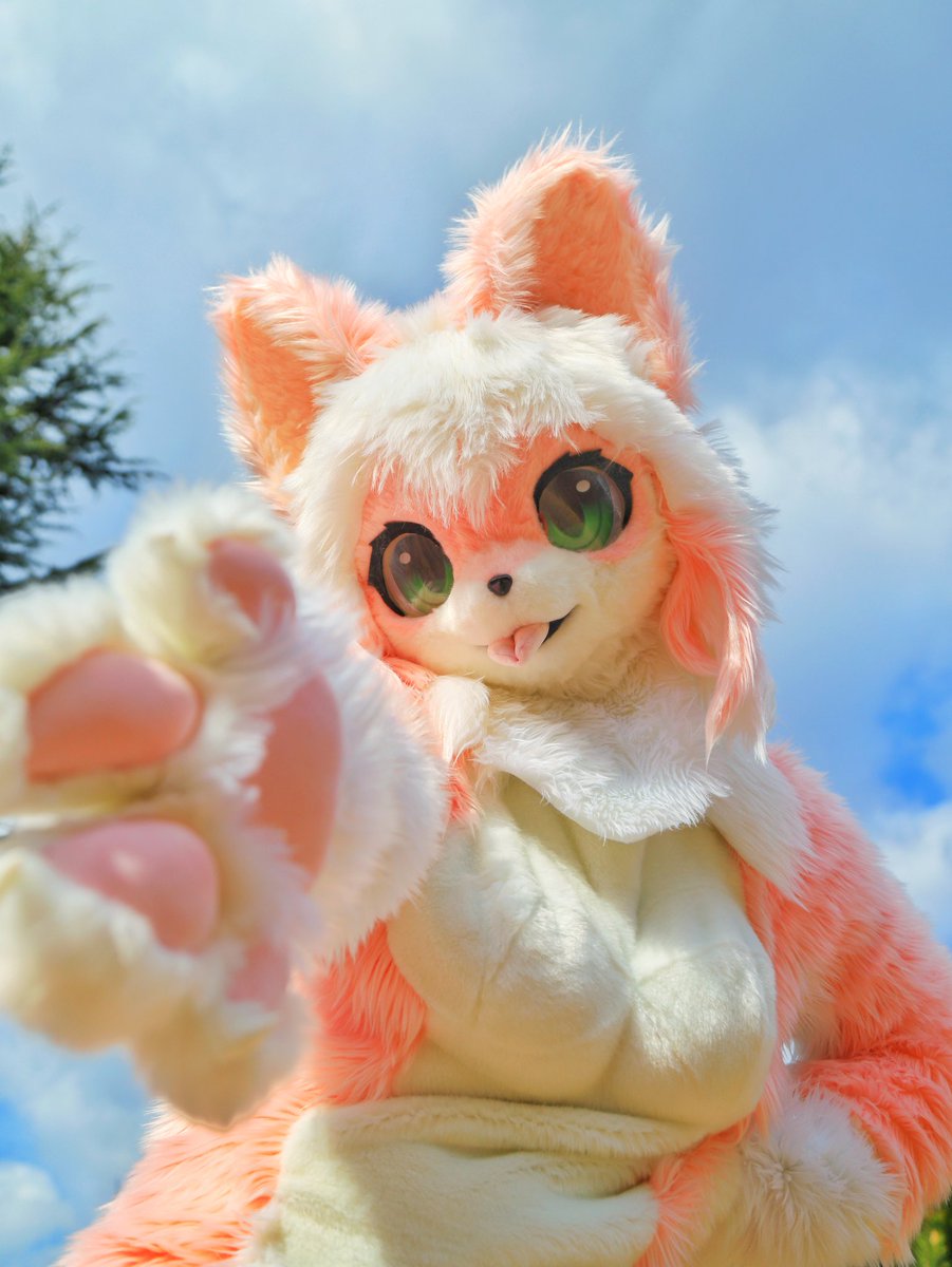 ぽんぽん (@_pon2pon_) / Posts / X