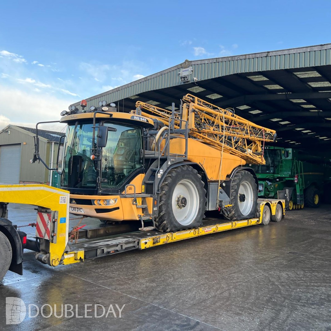 Doubleday Group tweet media