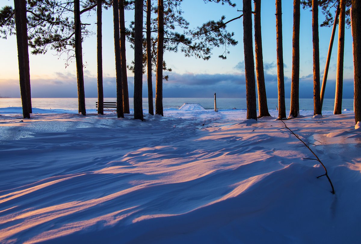 NY State Parks tweet media