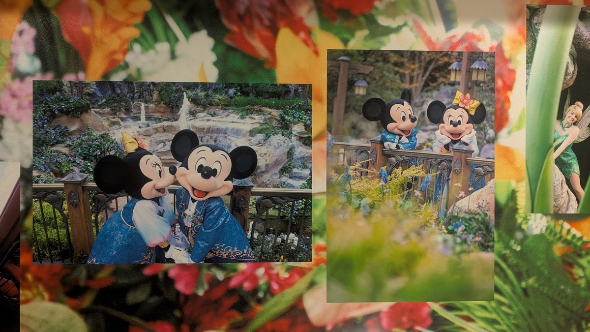 だーみさ tweet media