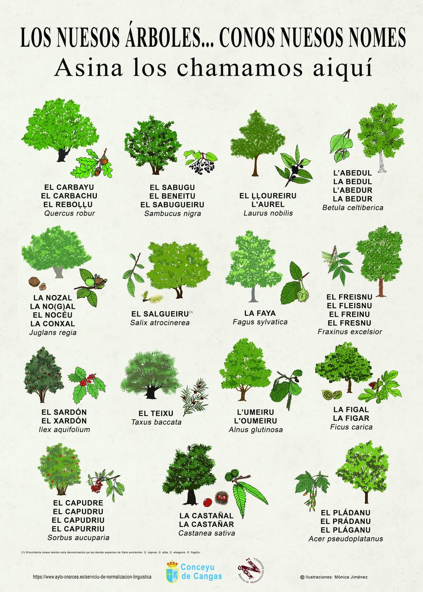 Alejandro DG tweet media