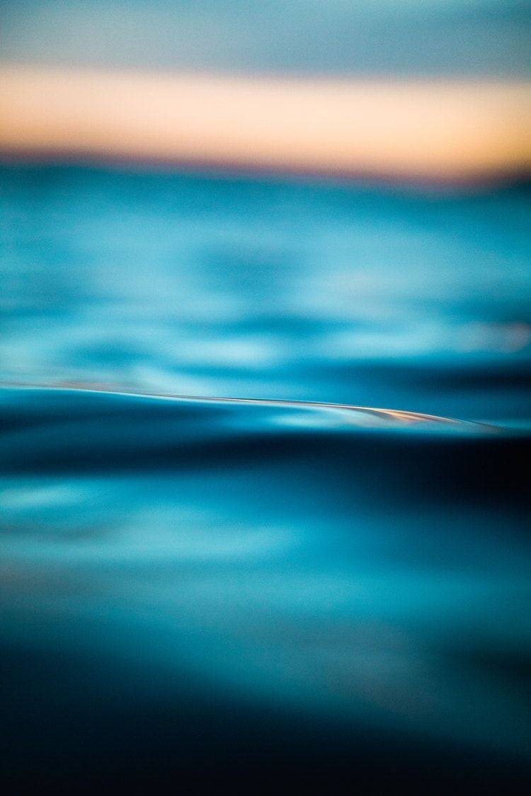 MSC Group tweet media