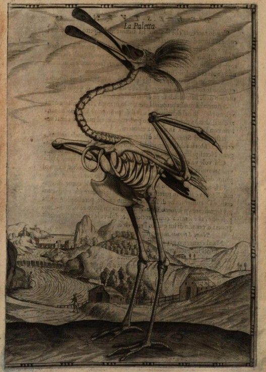 Print Quarterly tweet media