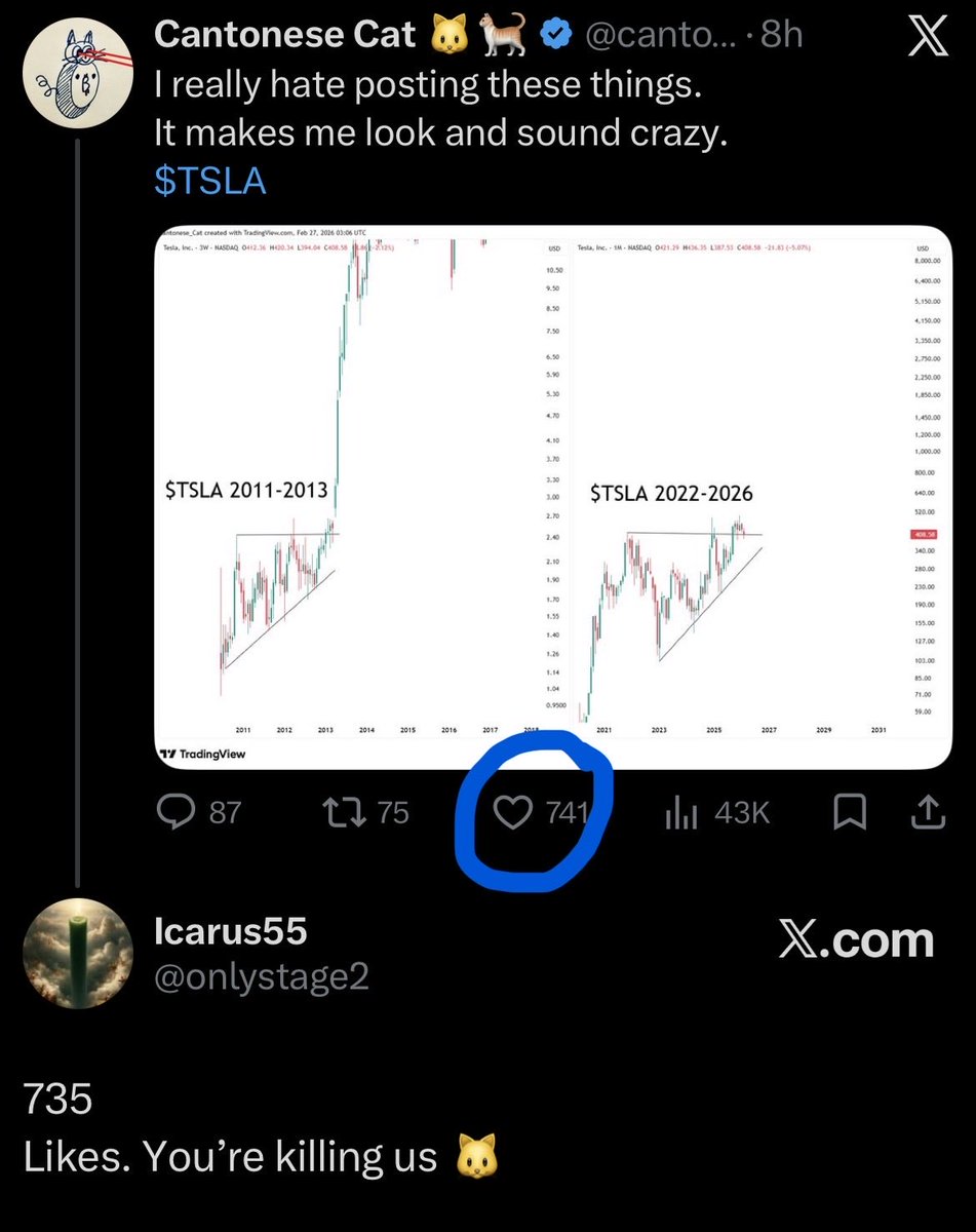 Cantonese Cat 🐱🐈 tweet media