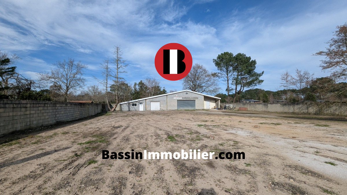 BassinImmo's tweet photo. À vendre — Terrain agricole à Gujan‑Mestras : 1 527 m² viabilisé + dépendance 166 m². Idéal pros MSA ou exploitation sylvicole. Prix HAI 250 000 €. Infos &amp; photos : https://t.co/d03Q4oHVsF #Terrain #Immobilier #GujanMestras #Agriculture https://t.co/fMcrBngq8K