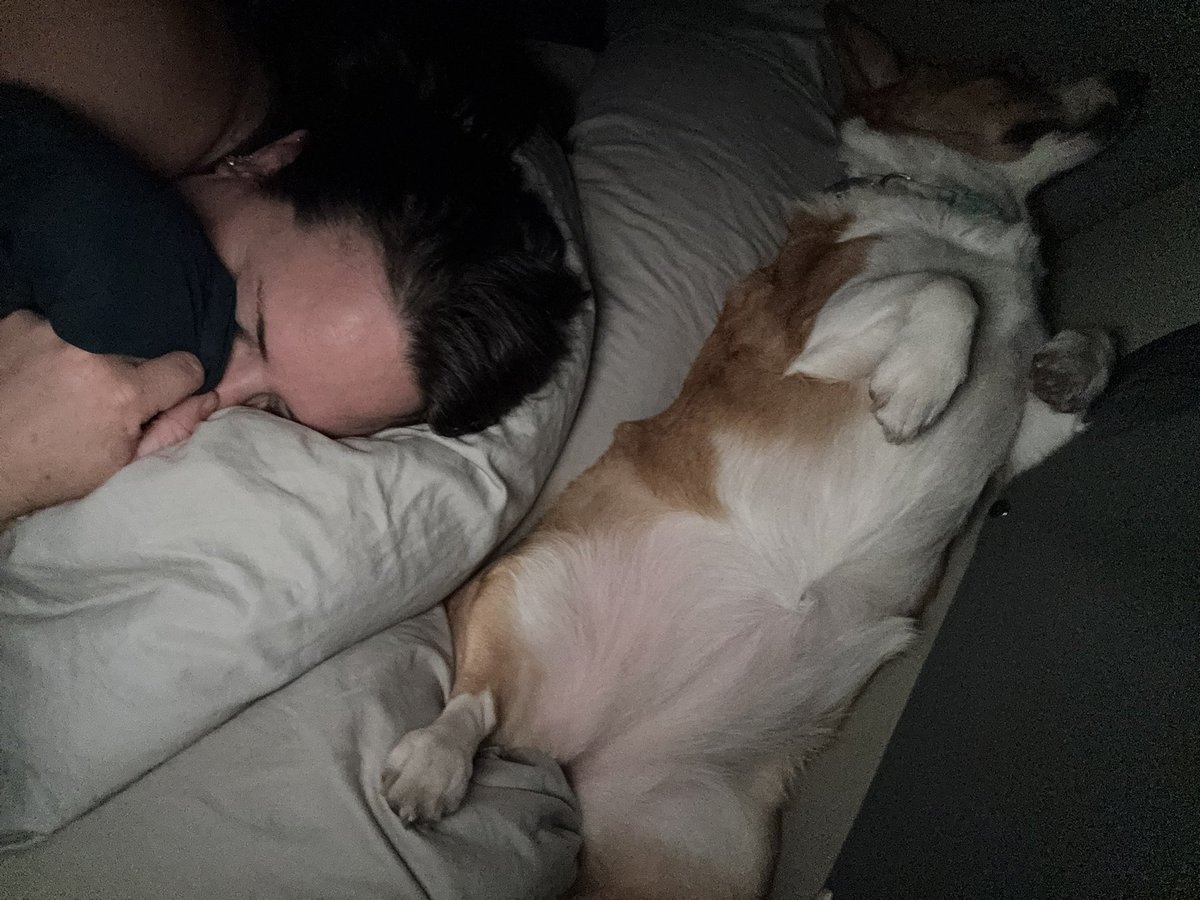 Mrs. Acme tweet media