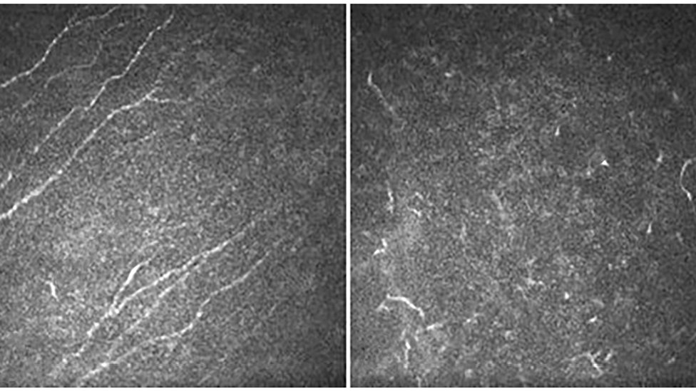 Casa de la Ciència CSIC València tweet media