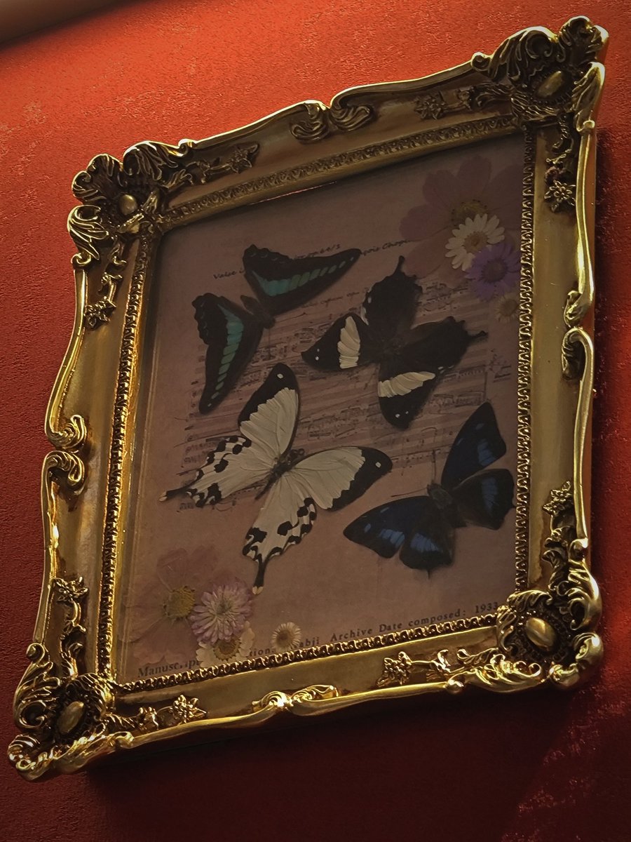 落日贩售机 tweet media