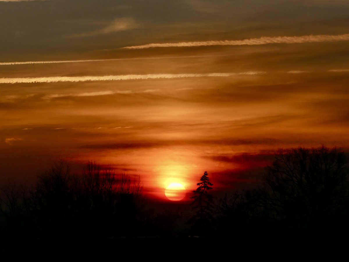 C on the scene tweet media