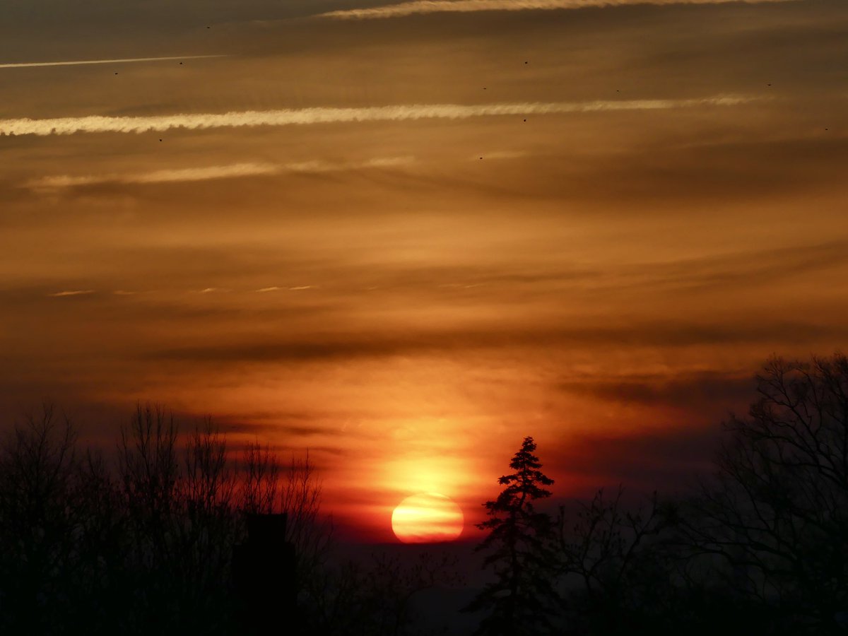 C on the scene tweet media