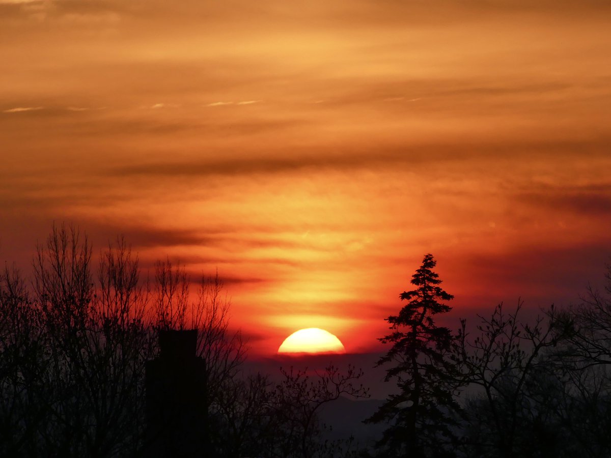 C on the scene tweet media