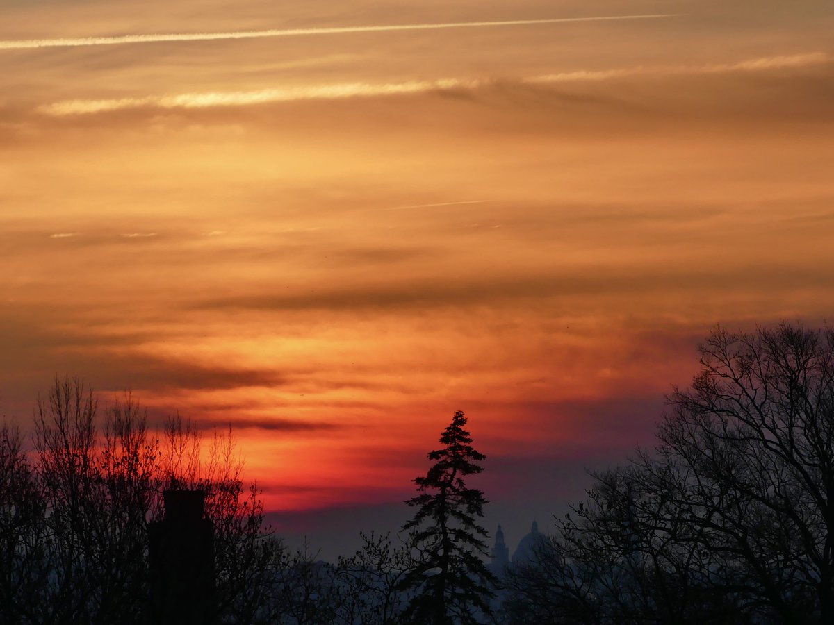 C on the scene tweet media