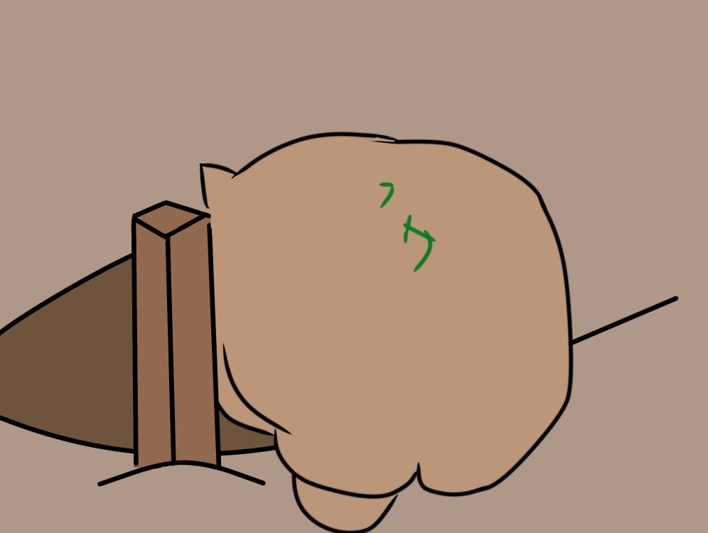 お名前ウォンバット #ウォンバット #wombat