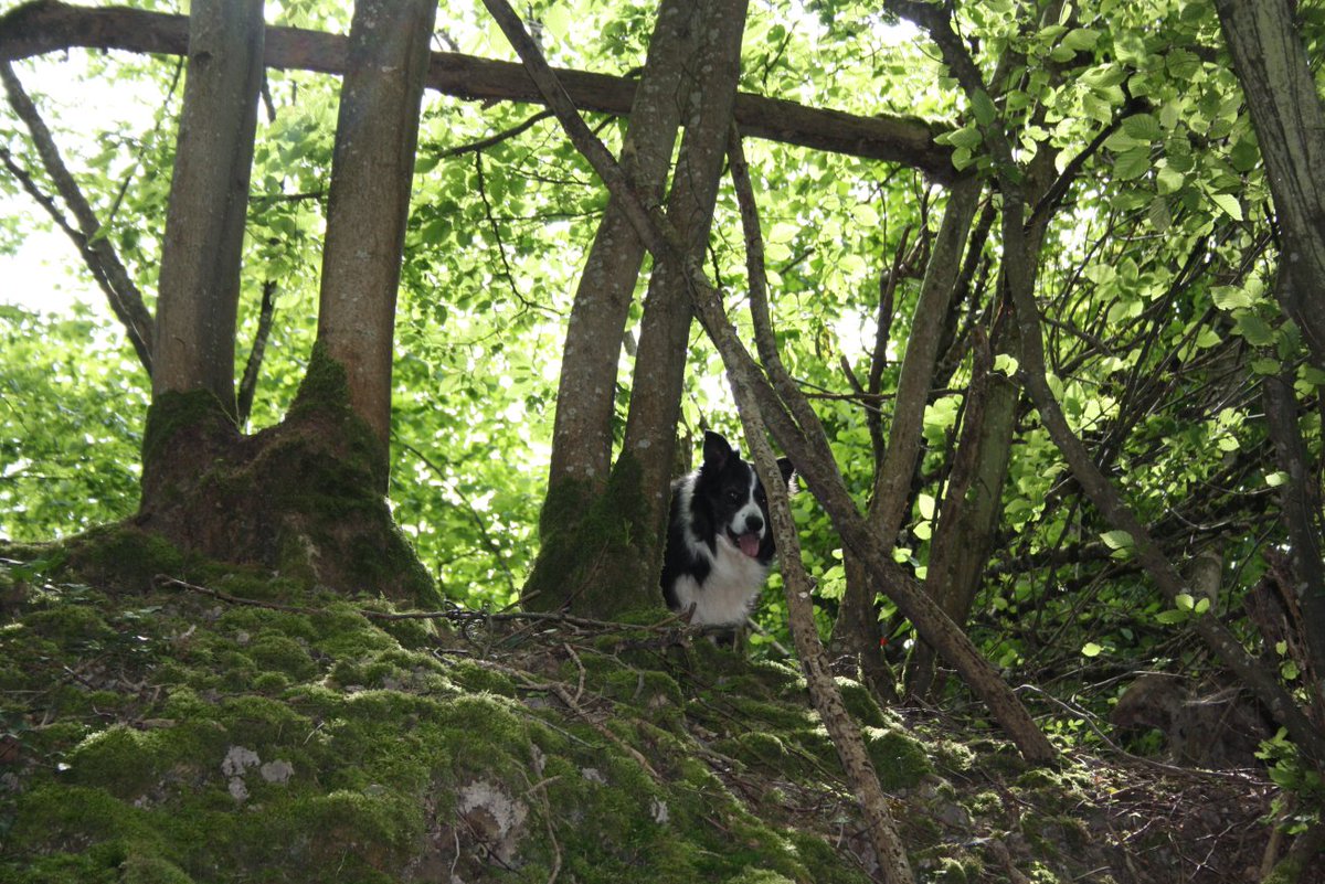 Discovering the frontline and beyond. tweet media