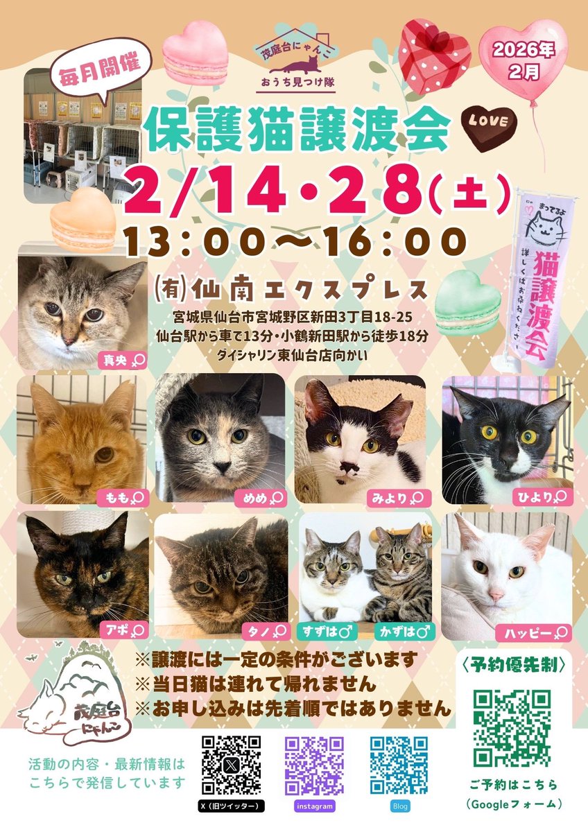 明日は茂庭台にゃんこ主催
保護猫譲渡会開催しまーす🙋‍♀️

約10匹くらい参加の成猫たちだけの
こじんまりとした譲渡会です🙏🍵

個性豊かな保護猫たちに
ぜひ会いに来てください😉⭐️

#宮城
#仙台 
#譲渡会 
#保護猫
#里親募集中