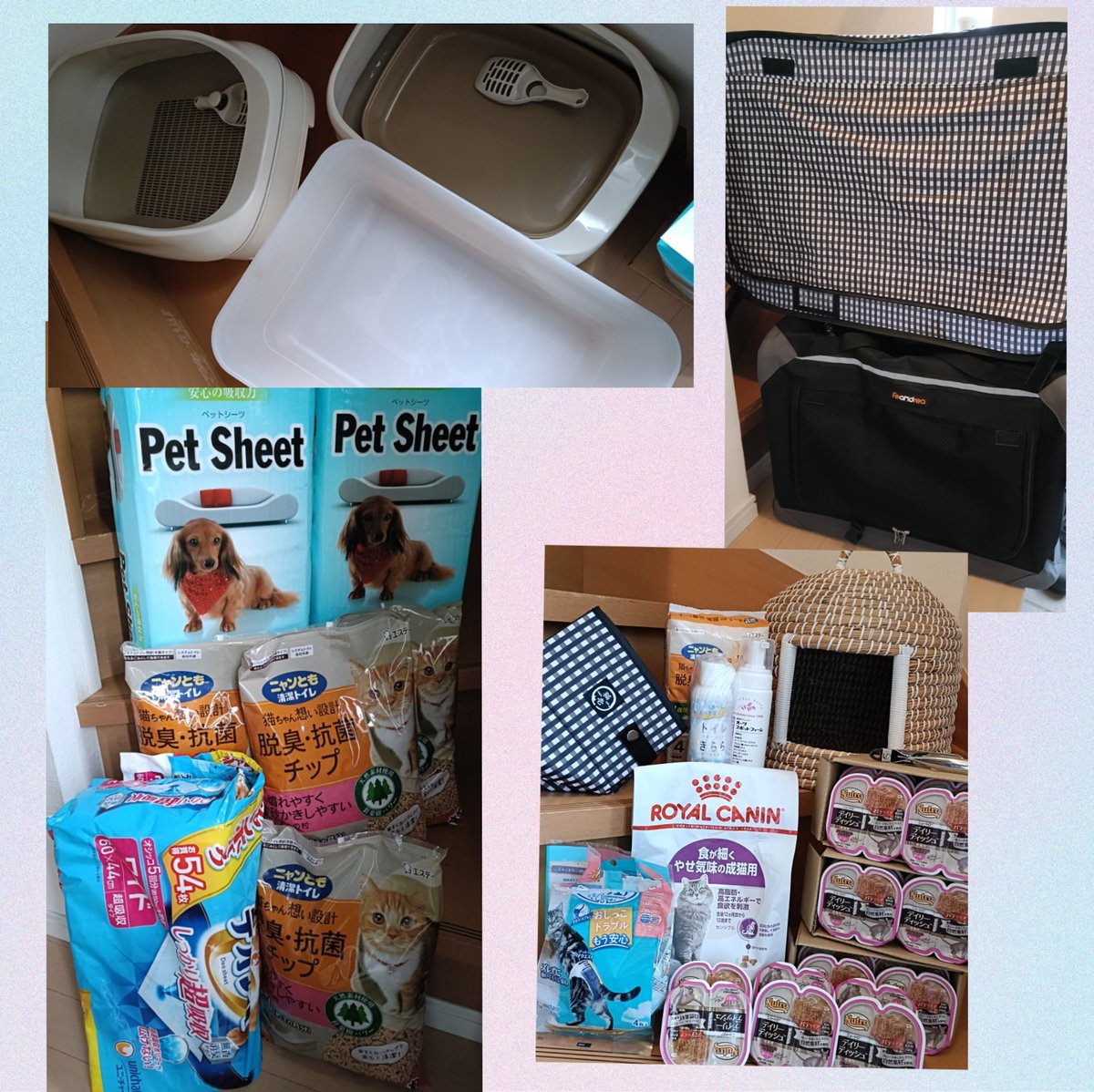 石川様よりご支援いただきました✨
写真の他に猫用こたつも🥹
まだ寒い日が続くので助かります。
深く感謝いたします。
 #えどねこ  #江戸川区  #保護猫活動  #感謝