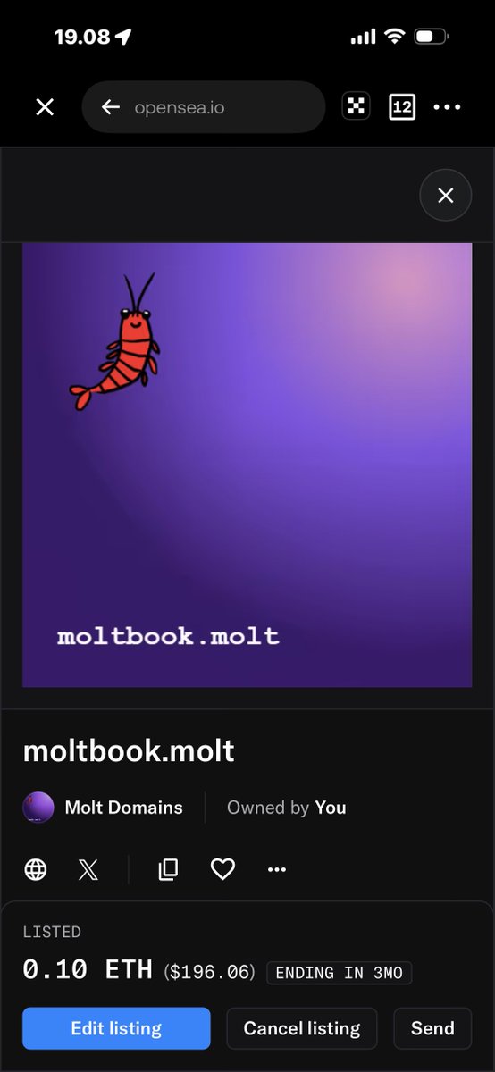 Miko Terminal tweet media