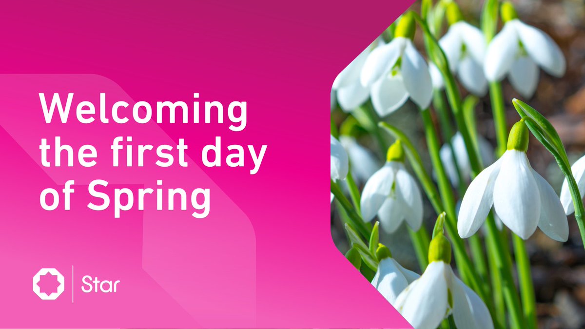 Star Academies tweet media