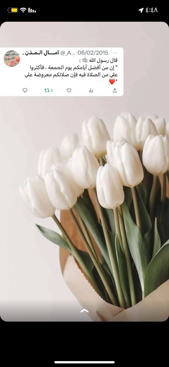 أ-ابتسام المذن (@ebtesam_almethn) on Twitter photo 