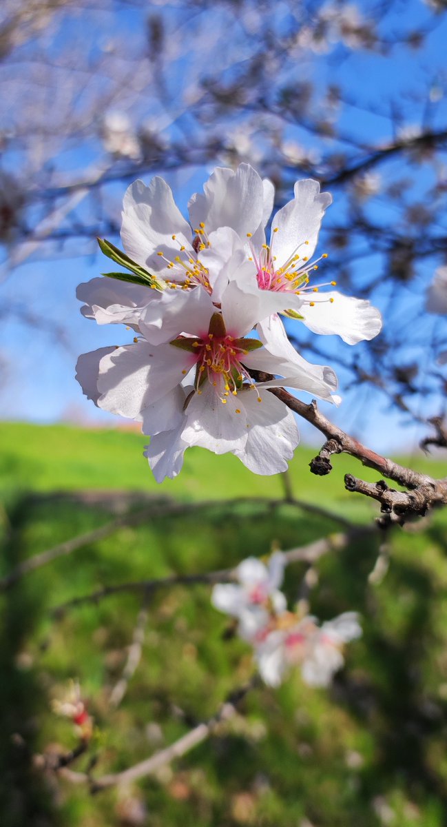 Roberto Granda tweet media