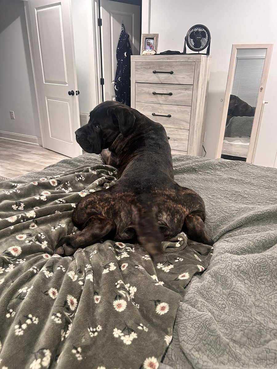 Whiskeytagofox's tweet photo. #lookbackatit https://t.co/zbK99tmgs9