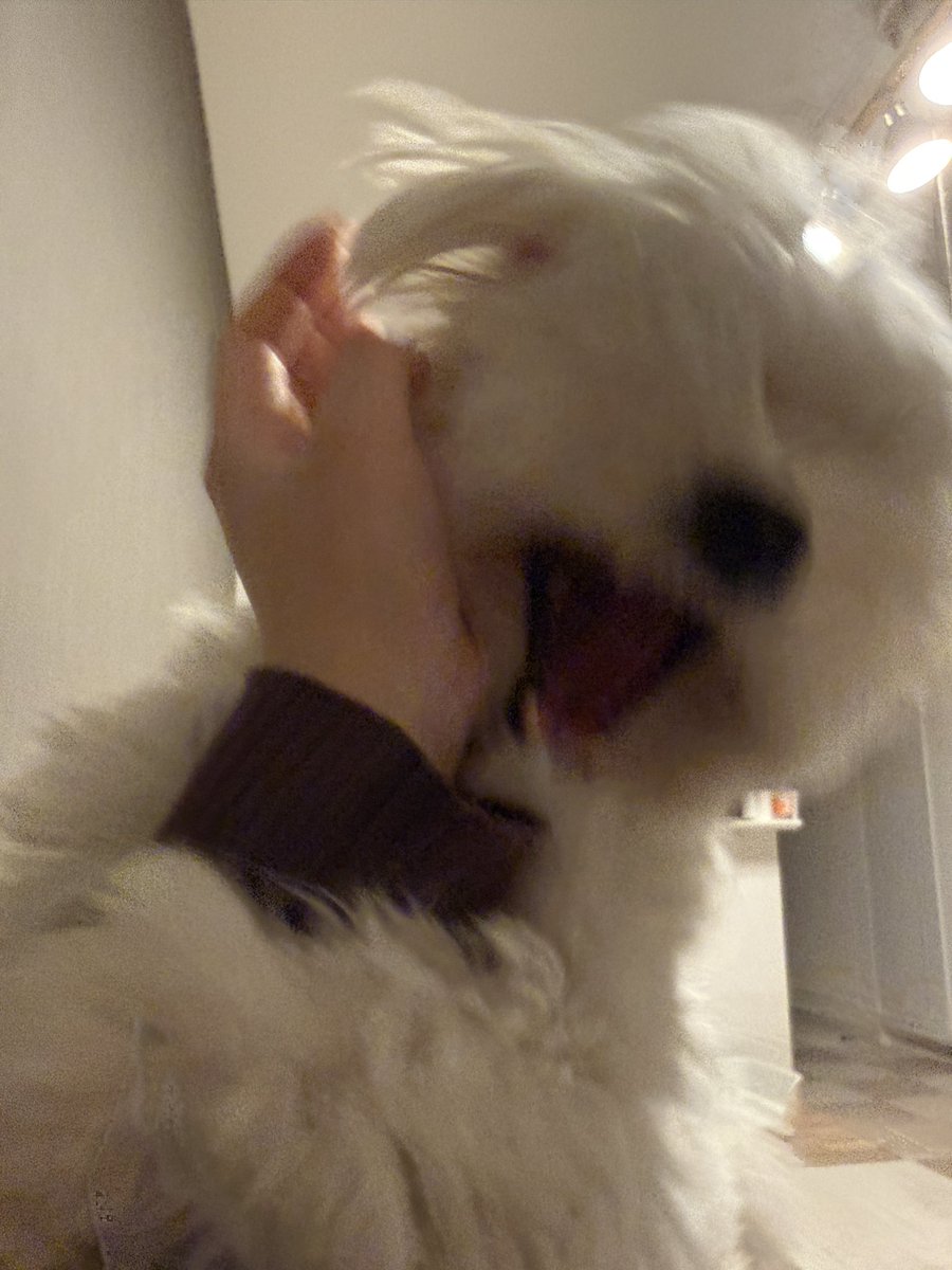 きなり tweet media