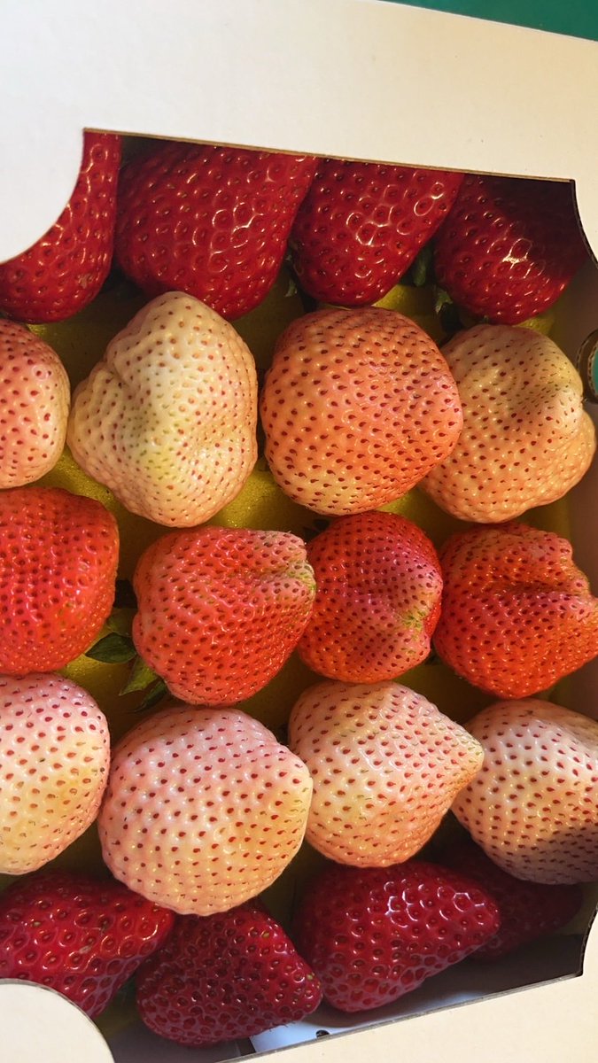 肌肉青農 tweet media