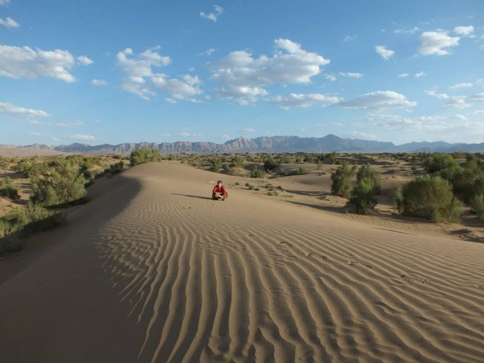 Daniel Lambert tweet media