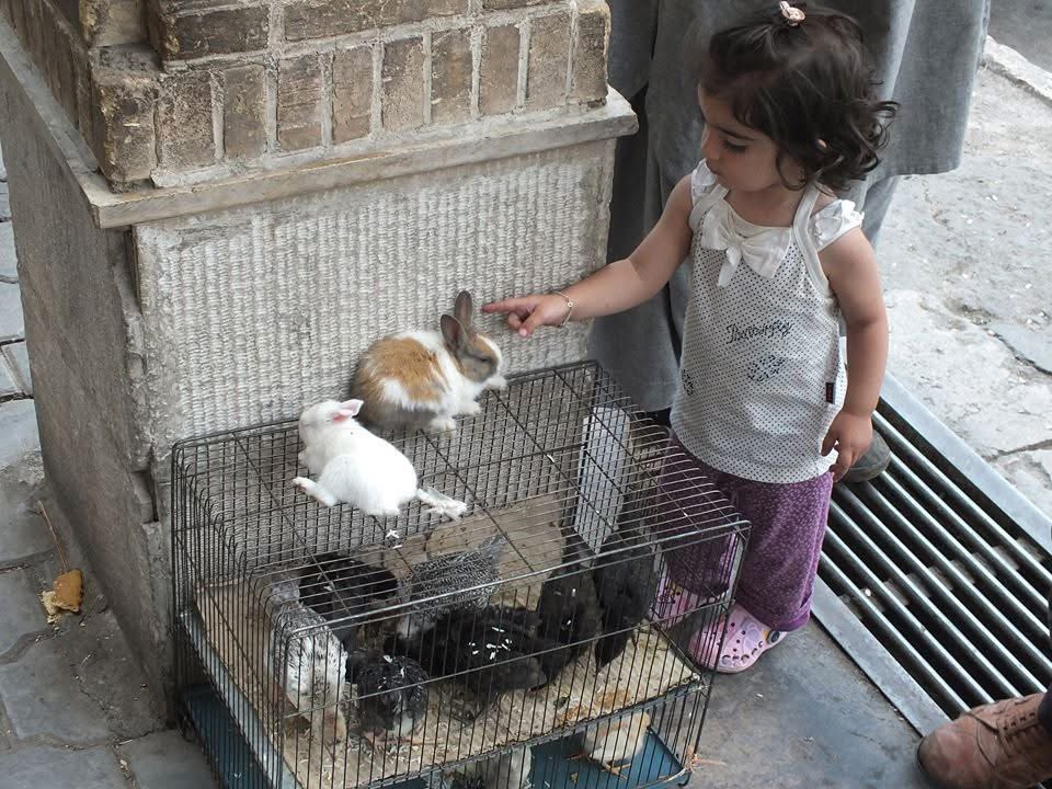 Daniel Lambert tweet media