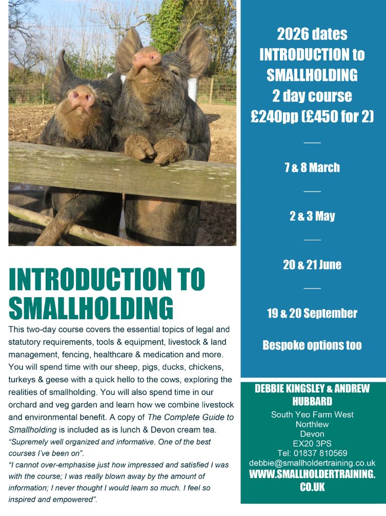 Debbie Kingsley tweet media