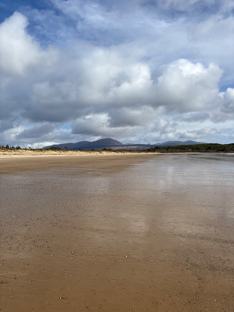 FlyingScot tweet media