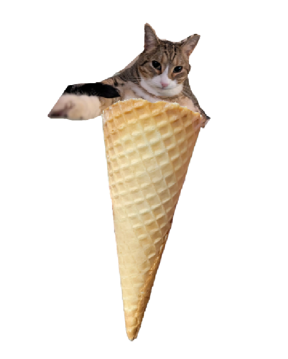 trackingvoid tweet media