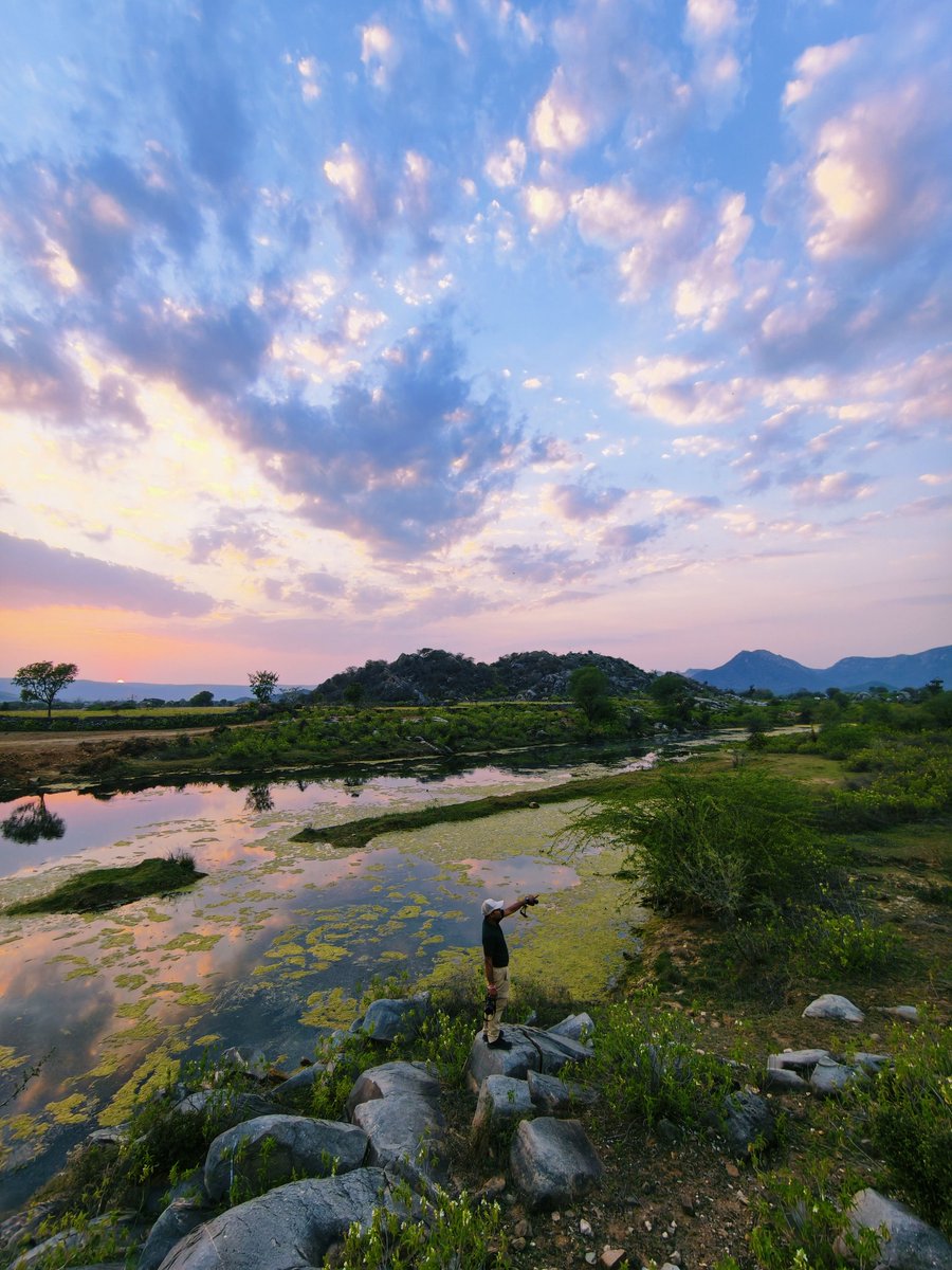 vaghelaharshit7's tweet photo. Golden sunset melting behind ancient boulders, birds painting melodies in the sky, and silent leopard trails echoing through the wilderness — Sariska buffer zone never fails to amaze 🦜🐆
Most wonderful sky. Endless wilderness. Pure peace. 🌄✨
#sariska #sunset #worldprotector https://t.co/UP4qnMCsc3